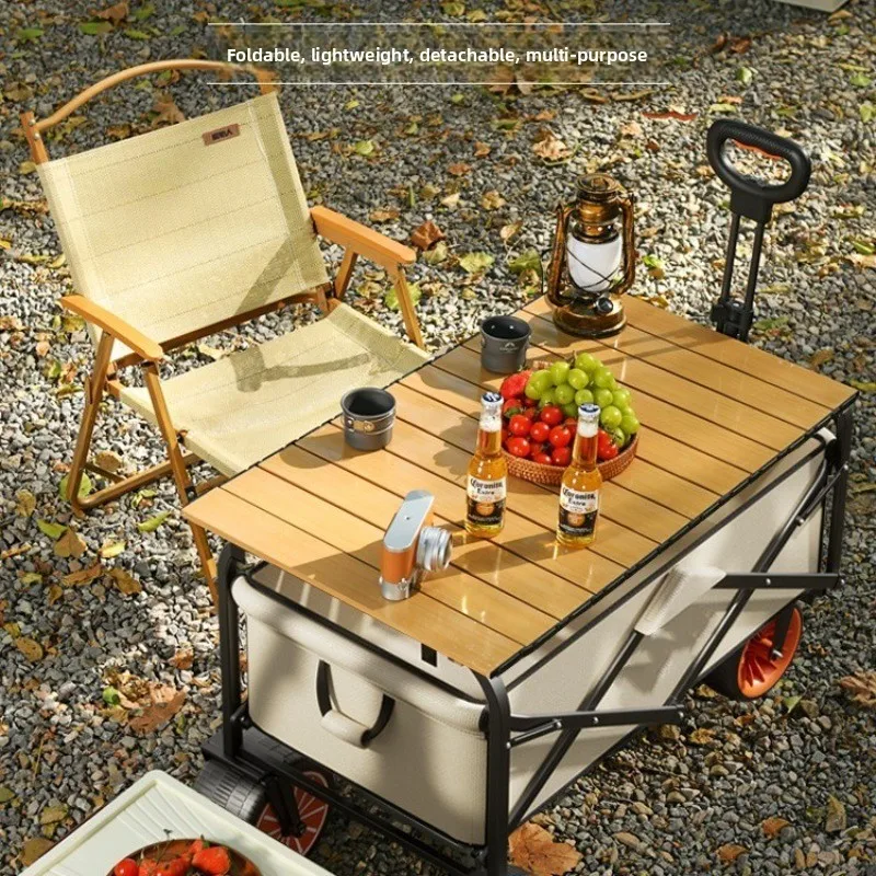 Camper Electric Power Outdoor  - Outdoor Power Recliner review and price