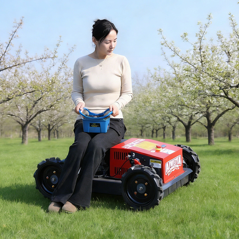 Customized Factory Remote Cont - Hedge Trimmer Cordless review and price
