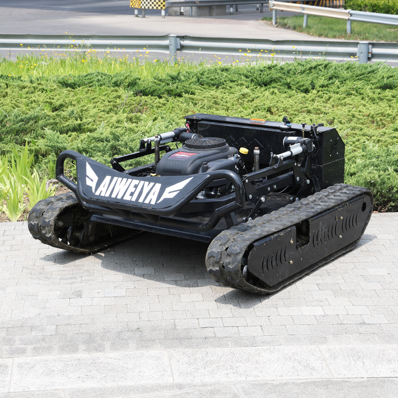 Customized Petrol Remote Contr - Hedge Trimmer Cordless review and price